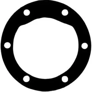 Pakning pumpe 6 hull, BUKH DV 36, F7