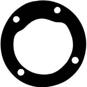 Pakning pumpe 4 hull, VOLVO 2000, BUKH DV 24