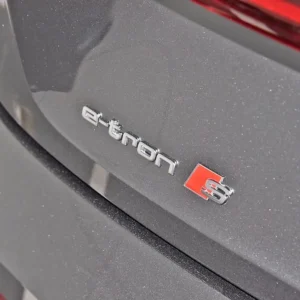 Emblem Audi e-tron S Bakluke Silver Edition | Vag